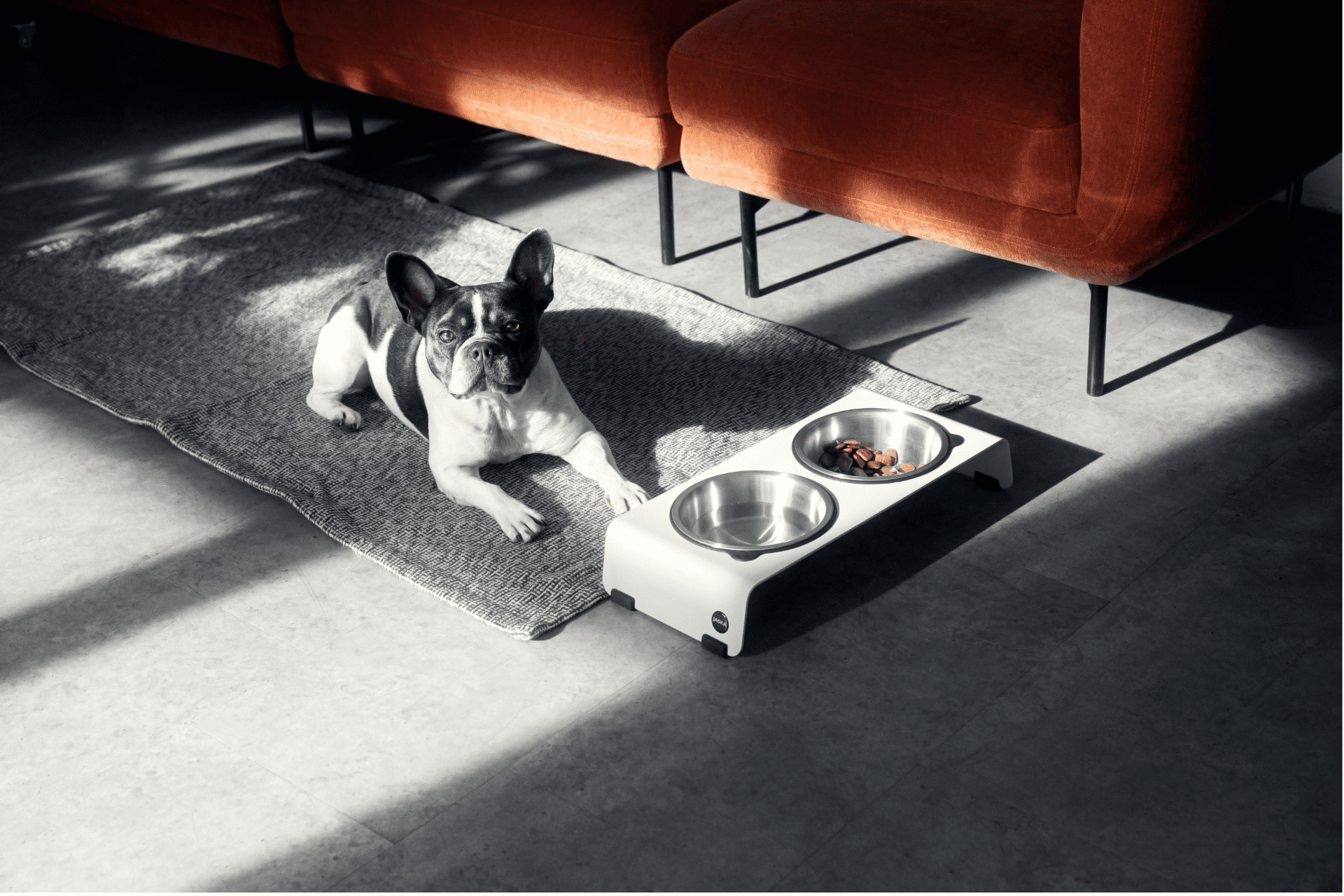 Jaska Hundebar ARC S