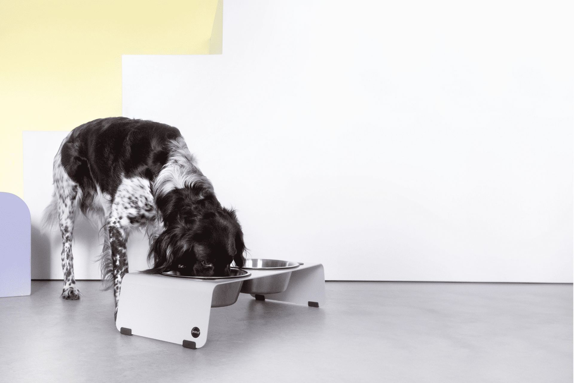 Jaska Hundebar ARC M