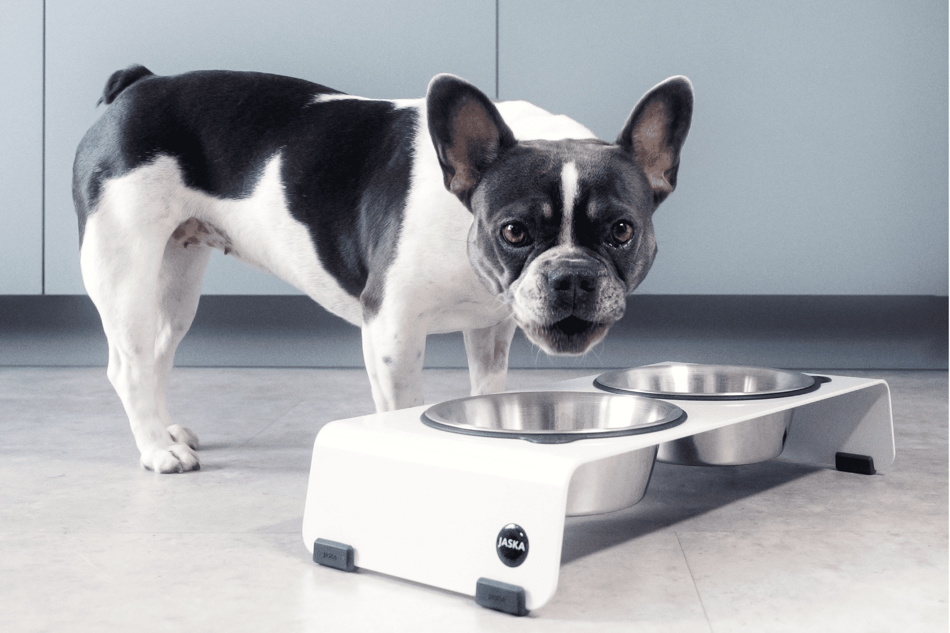 Jaska Hundebar ARC S