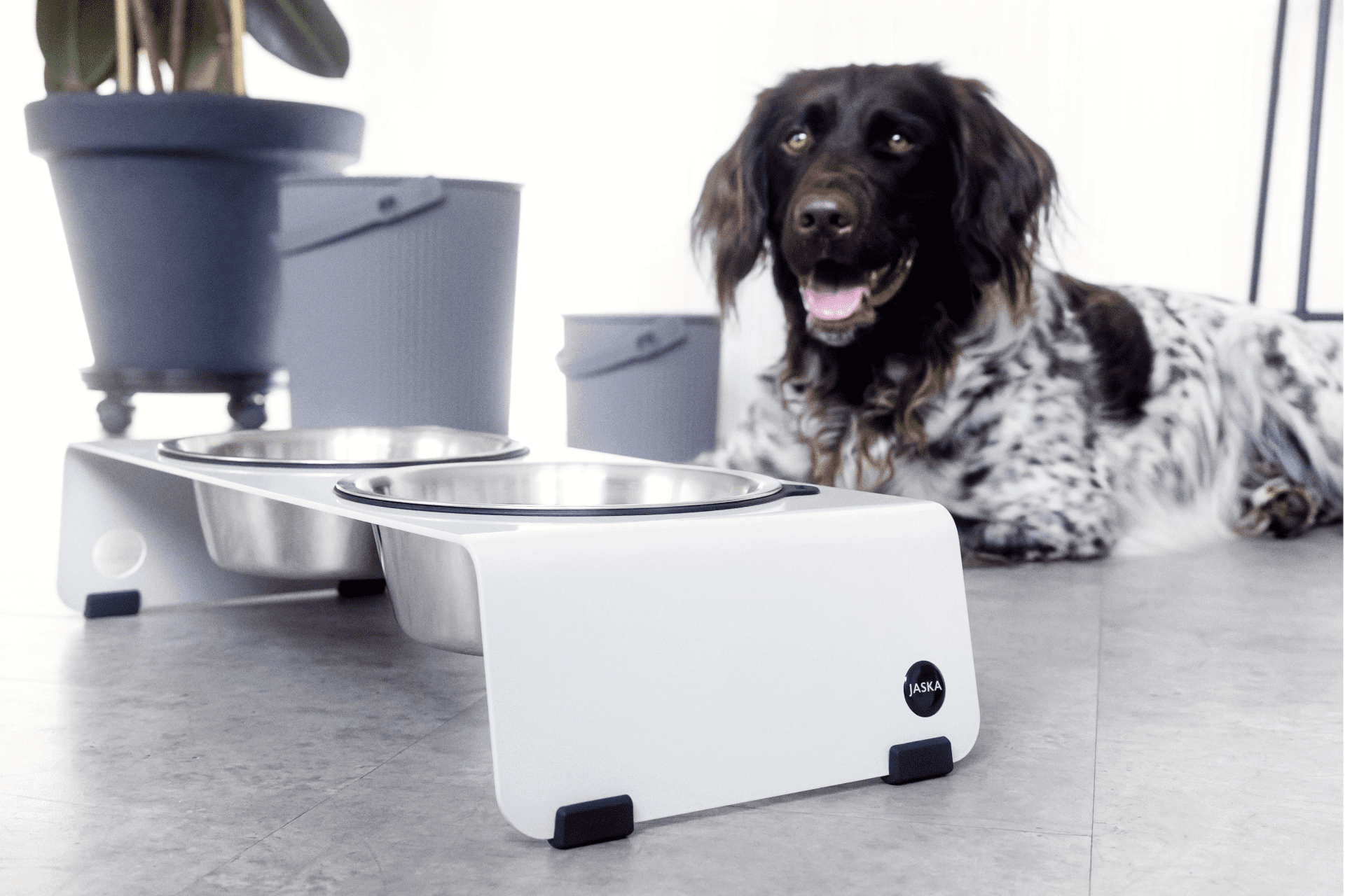 Jaska Hundebar ARC L