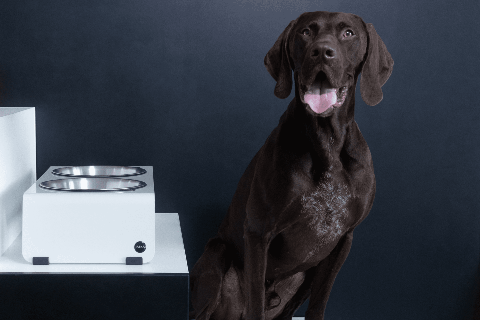 Jaska Hundebar ARC L